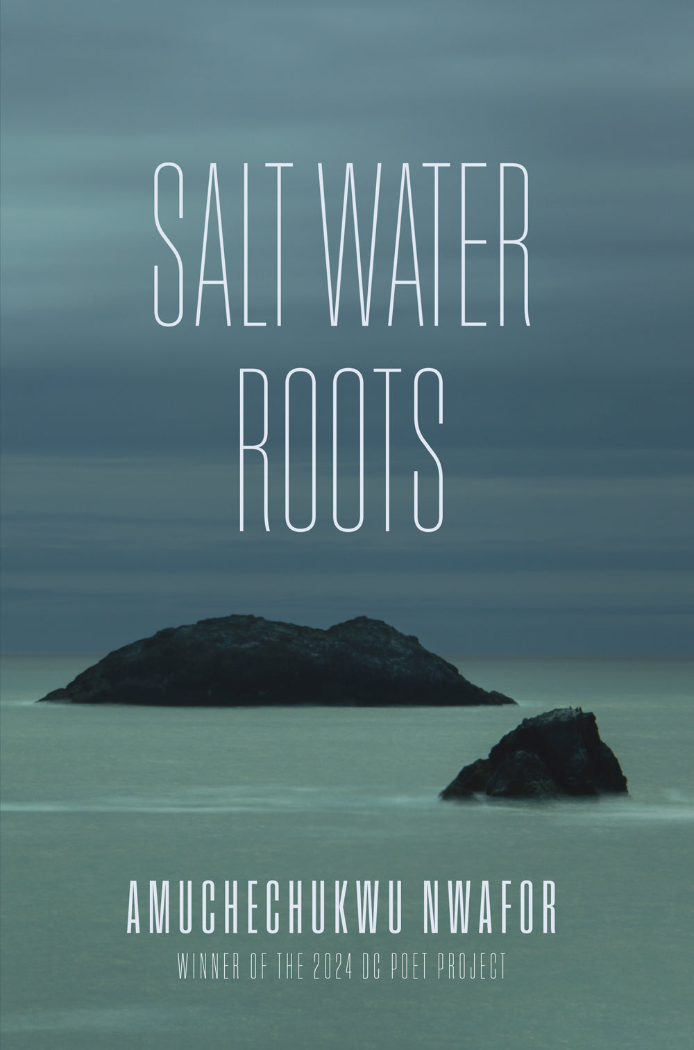 Salt Water Roots by Amuchechukwu Nwafor